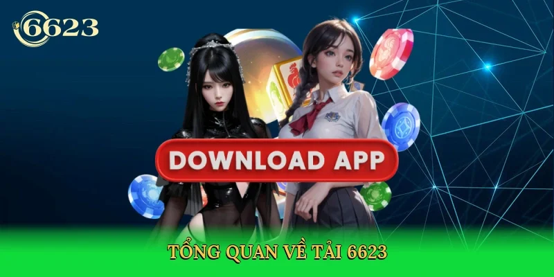 tong-quan-ve-tai-6623-2