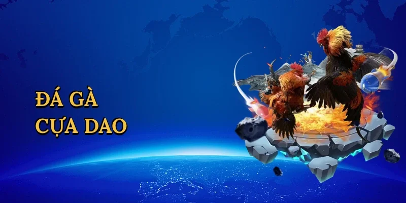 Đá gà cựa dao